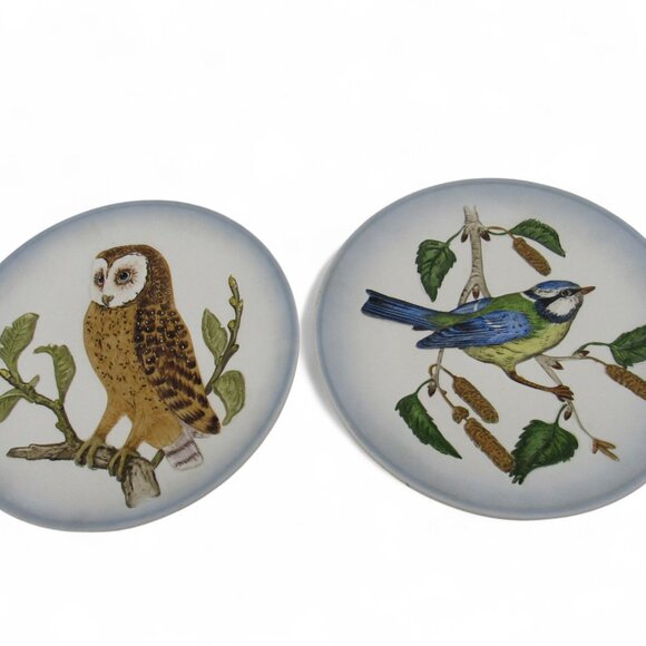 GOEBEL Wildlife PORCELAIN Plates Barn Owl And Titmouse 1970s Germany Vintage - Picture 4 of 11